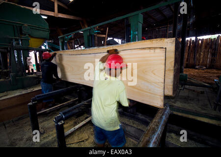 Arbeiter entfernen Holzbohlen eine Bandsäge zerschneiden ein Amazon Rainforest Baum in einer Protokollierung Mühle. Stockfoto