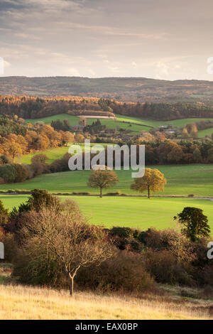 Blick über Albury und Surrey Hills von Newlands Ecke auf den North Downs. Surrey, England, Vereinigtes Königreich Stockfoto