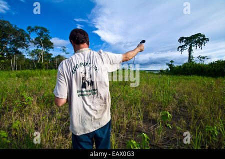 Eine Tierwelt Naturschützer zeichnet die Anrufe von einer Kolonie von gelben Psephotus Cacique. Stockfoto