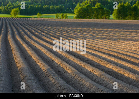 Frisch gepflügtes Feld im Frühjahr Stockfoto