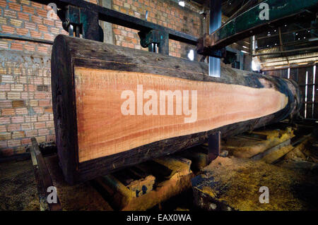 Eine große Bandsäge Scheiben Planken von einem Regenwald-Baum in einer Protokollierung Mühle. Stockfoto