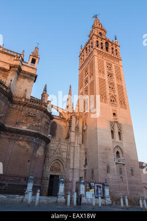 Sevilla - Kathedrale de Santa Maria De La Sede mit dem Glockenturm Giralda im Morgenlicht. Stockfoto