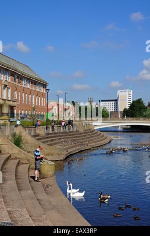 Enten und Schwäne auf den Derwent mit Sozialwohnung Gebäude nach hinten, Derby, Derbyshire, England, UK, Europa. Stockfoto