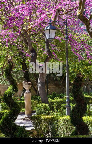 Frühling im Giardino Ibleo, dem ältesten öffentlichen Garten der Stadt Ragusa, Sizilien, Italien Stockfoto