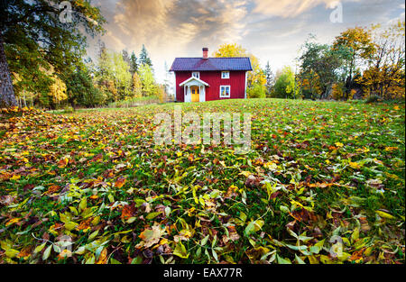 small rural cottage surrounded by autumn leaves and colors Stockfoto