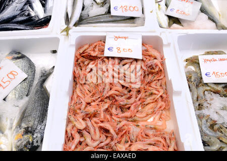 Frische Meeresfrüchte in einem griechischen Markt Stockfoto