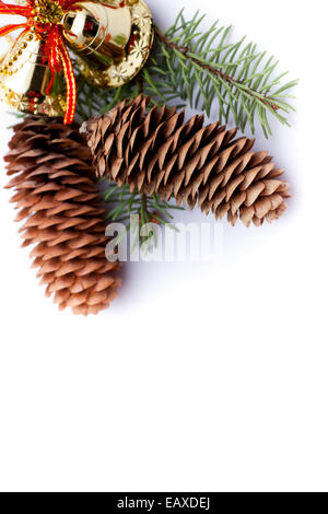 Weihnachten Tannenzapfen isoliert auf weißem Hintergrund. Stockfoto