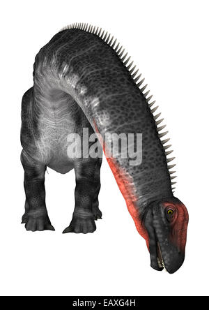 Digitale 3D Rendern von einem Dinosaurier Apatosaurus isoliert auf weißem Hintergrund Stockfoto