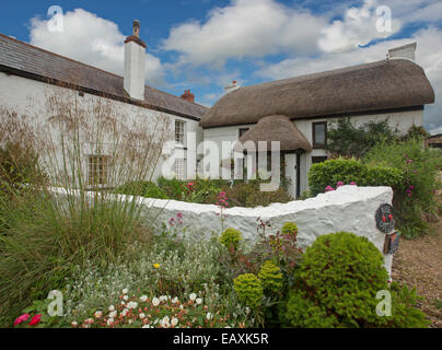 Weiss lackiert, Ferienhaus mit Reetdach & Garten mit bunten Blumen & Smaragd Laub unter blauem Himmel am Port Eynon, Wales Stockfoto