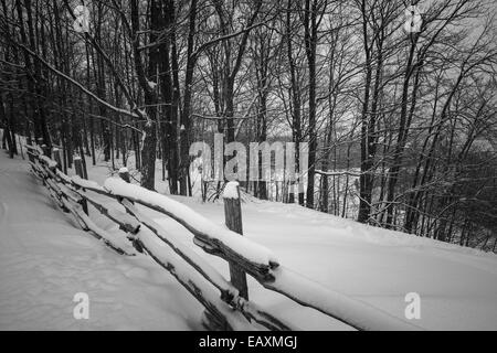 Winterlandschaft mit Schnee, der auf ländlichen Zaun und verschneiten Bäumen in schwarz / weiß Stockfoto