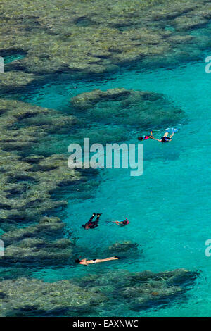 Leute Schnorcheln unter Korallenriff bei Hanauma Bay Nature Preserve, Oahu, Hawaii, USA Stockfoto