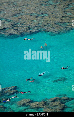 Leute Schnorcheln unter Korallenriff bei Hanauma Bay Nature Preserve, Oahu, Hawaii, USA Stockfoto