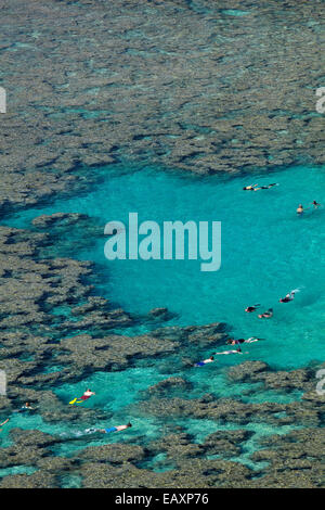 Leute Schnorcheln unter Korallenriff bei Hanauma Bay Nature Preserve, Oahu, Hawaii, USA Stockfoto