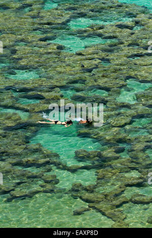 Leute Schnorcheln unter Korallenriff bei Hanauma Bay Nature Preserve, Oahu, Hawaii, USA Stockfoto
