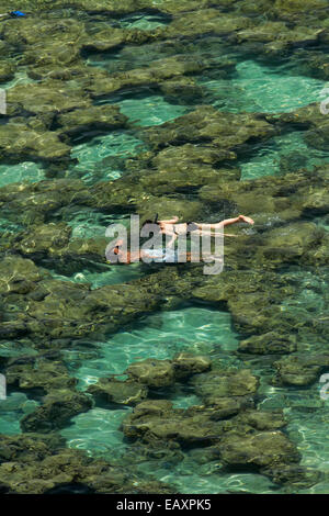Leute Schnorcheln unter Korallenriff bei Hanauma Bay Nature Preserve, Oahu, Hawaii, USA Stockfoto