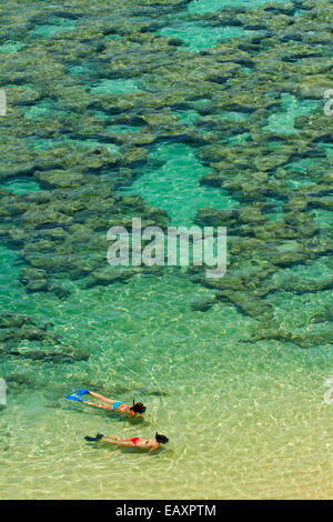 Leute Schnorcheln unter Korallenriff bei Hanauma Bay Nature Preserve, Oahu, Hawaii, USA Stockfoto