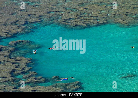 Leute Schnorcheln unter Korallenriff bei Hanauma Bay Nature Preserve, Oahu, Hawaii, USA Stockfoto