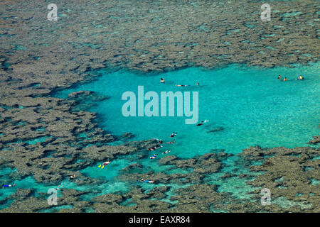 Leute Schnorcheln unter Korallenriff bei Hanauma Bay Nature Preserve, Oahu, Hawaii, USA Stockfoto