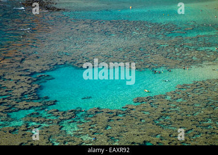 Leute Schnorcheln unter Korallenriff bei Hanauma Bay Nature Preserve, Oahu, Hawaii, USA Stockfoto