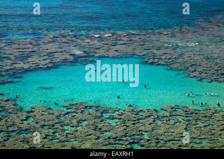 Leute Schnorcheln unter Korallenriff bei Hanauma Bay Nature Preserve, Oahu, Hawaii, USA Stockfoto