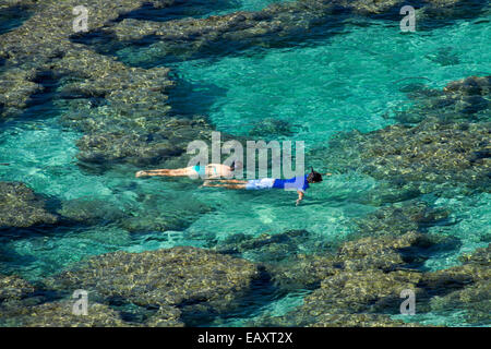 Leute Schnorcheln unter Korallenriff bei Hanauma Bay Nature Preserve, Oahu, Hawaii, USA Stockfoto