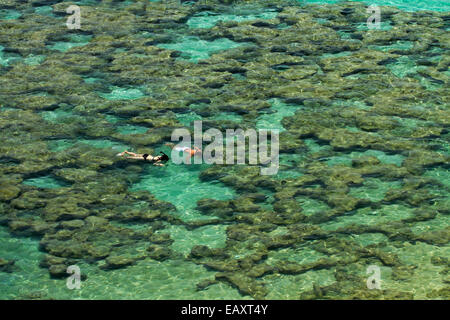 Leute Schnorcheln unter Korallenriff bei Hanauma Bay Nature Preserve, Oahu, Hawaii, USA Stockfoto