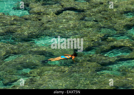 Leute Schnorcheln unter Korallenriff bei Hanauma Bay Nature Preserve, Oahu, Hawaii, USA Stockfoto