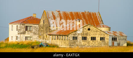 Altes Bauernhaus Amd Vieh Scheune auf Hingabe Ackerland, Island Stockfoto