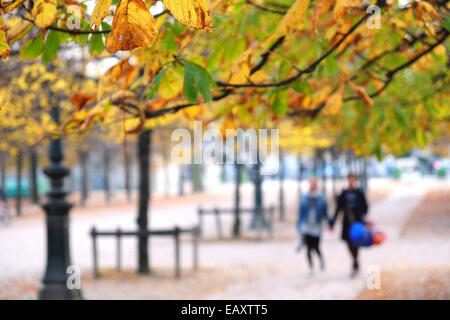 Paris, Frankreich. Jardin des Tuileries im Herbst / November. Stockfoto