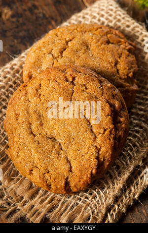 Hausgemachte braun Gingersnap Plätzchen für den Urlaub Stockfoto