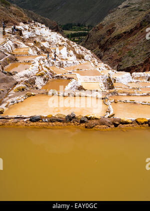 Ansicht von Salinas de Maras (Maras Saline), in der Nähe von Cusco, Peru. Stockfoto