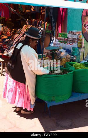 Weibliche Vender stehend auf eine Tasche gefüllt mit getrockneten Kokablätter in einen Stall außerhalb des Marktes in Copacabana, Bolivien Stockfoto