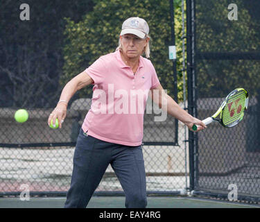 Boca Raton, Florida, USA. 21. November 2014. Tennis-Superstar MARTINA NAVRATILOVA in Aktion auf Platz im Boca Raton Resort & Club, Boca Raton, Florida für das Jahr 2014 Chris Evert/Raymond James Pro-Celebrity Classic, Tennis mit Chrissie & Freunde Medienereignis. Bildnachweis: Arnold Drapkin/ZUMA Draht/Alamy Live-Nachrichten Stockfoto