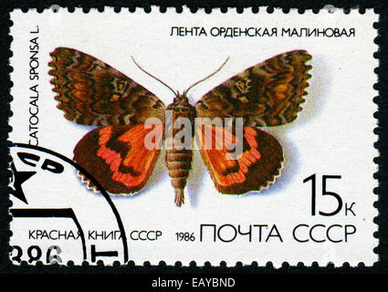 UdSSR - CIRCA 1986: Eine Briefmarke gedruckt in der UdSSR - ein Schmetterling mit der Aufschrift "Catocala Sponsa" aus der Serie "Red Book" Stockfoto