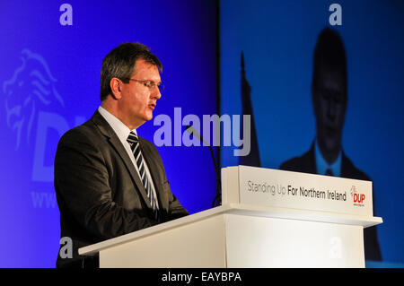 Belfast, Nordirland. 22. Nov 2014. - Jeffrey Donaldson MP Adressen die DUP-Konferenz 2014 Credit: Stephen Barnes/Alamy leben Nachrichten Stockfoto