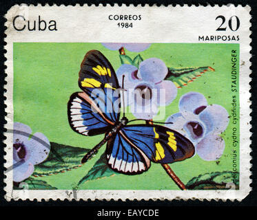 Kuba - CIRCA 1984: Eine Briefmarke gedruckt in Kuba, zeigt Cydno Longwing, Heliconius Cydno Cydnides, Butterfly, ca. 1984 Stockfoto