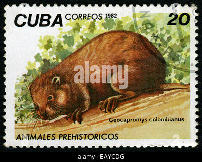 Kuba - CIRCA 1982: A Briefmarke gedruckt in Kuba zeigt Geocapromys Colombianus, ca. 1982 Stockfoto