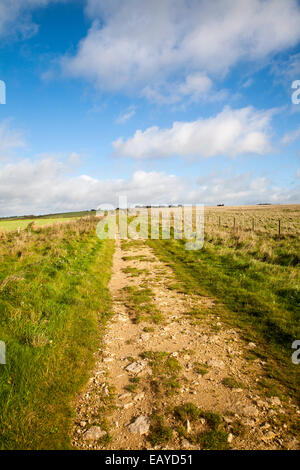 Der Ridgeway Langstrecken-Wanderweg aus Vorgeschichte in der Nähe von Beginn an Overton Hill, Marlborough Downs, Wiltshire, England Stockfoto