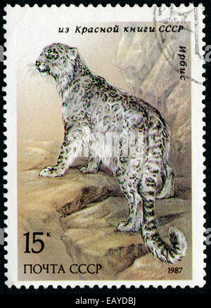 UdSSR - CIRCA 1987: Die Freimarke gedruckt in USSR zeigt Leopard, Serie Red Book der UdSSR, ca. 1987 Stockfoto
