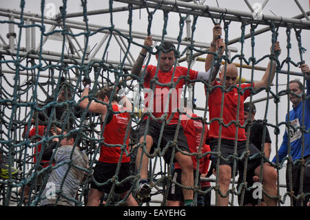 London, UK, Samstag, 22. November 2014. Tausende von Läufern, Suche nach Schlamm und Hindernisse, Abstieg auf Wembley-Stadion, in das große Finale 2014 Herren Gesundheit Survival Of The Fittest Serie teilzunehmen.  Survival Of The Fittest London bringt das große Arena-Gefühl zu diesem klassischen urbanen Hindernislauf. Historisch findet am Battersea Power Station, umgezogen Survival Of The Fittest Standorte in diesem Jahr zum Wembley-Stadion. Erwärmt, beginnen alle 15 Minuten lassen Sie Hunderte von eifrigen Läufer durch ein speziell dafür gebauten 10 k-Hindernis-Parcours rund um dieses legendären Londoner Veranstaltungsort.   Vorjahressieger dou Stockfoto