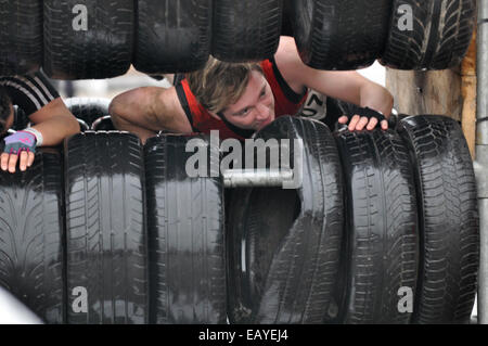 London, UK, Samstag, 22. November 2014. Tausende von Läufern, Suche nach Schlamm und Hindernisse, Abstieg auf Wembley-Stadion, in das große Finale 2014 Herren Gesundheit Survival Of The Fittest Serie teilzunehmen.  Survival Of The Fittest London bringt das große Arena-Gefühl zu diesem klassischen urbanen Hindernislauf. Historisch findet am Battersea Power Station, umgezogen Survival Of The Fittest Standorte in diesem Jahr zum Wembley-Stadion. Erwärmt, beginnen alle 15 Minuten lassen Sie Hunderte von eifrigen Läufer durch ein speziell dafür gebauten 10 k-Hindernis-Parcours rund um dieses legendären Londoner Veranstaltungsort.   Vorjahressieger dou Stockfoto