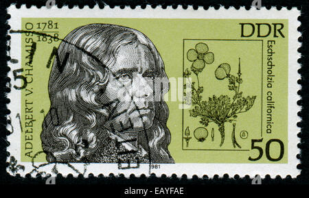 Deutschland - ca. 1981: Eine Briefmarke gedruckt in Deutschland zeigt Adelbert Chamisso (1981-1838) und Eschscholzia Californica, ca. 198 Stockfoto