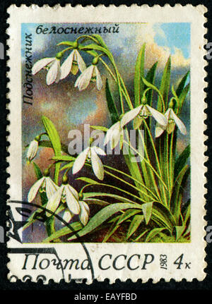 UdSSR - ca. 1983: Eine Briefmarke gedruckt in der UdSSR (Russland) zeigt ein Schneeglöckchen mit der Aufschrift "Galanthus Nivalis' aus der Serie Stockfoto