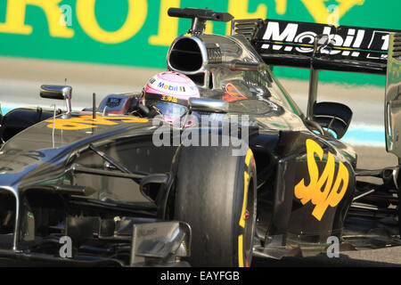 Abu Dhabi, Vereinigte Arabische Emirate. 22. November 2014.  McLaren-Mercedes-Pilot Jenson Button Credit: Action Plus Sport Bilder/Alamy Live News Stockfoto