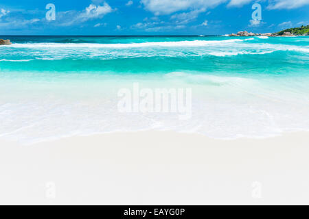 Perfekte tropischen Strand Anse Cocos in La Digue, Seychellen mit Granitfelsen und Palmen Stockfoto