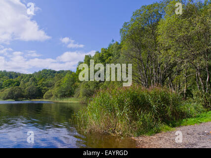 Loch Achray, Trossachs, Stirlingshire, Schottland, UK Stockfoto