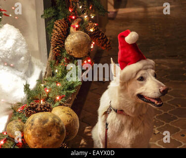 Weiße Schäferhund Santa Hut in Tlaquepaque in Sedona Stockfoto