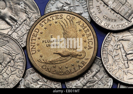 Münzen der USA. Weißkopf-Seeadler (Haliaeetus Leucocephalus) dargestellt, auf dem uns Sacagawea Dollar. Stockfoto