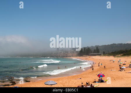 Sydney, Australien. 23. November 2014. Küstennebel rollt über Sydneys Avalon Beach steigender Temperaturen bis 43 Grad in New South Wales, und wir sind nicht im Sommer noch, Australien. Bildnachweis: Martin Beere/Alamy Live News Stockfoto