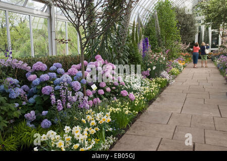 ENID A. HAUPT KONSERVATORIUM AN DER NEW YORK BOTANICAL GARDEN Stockfoto